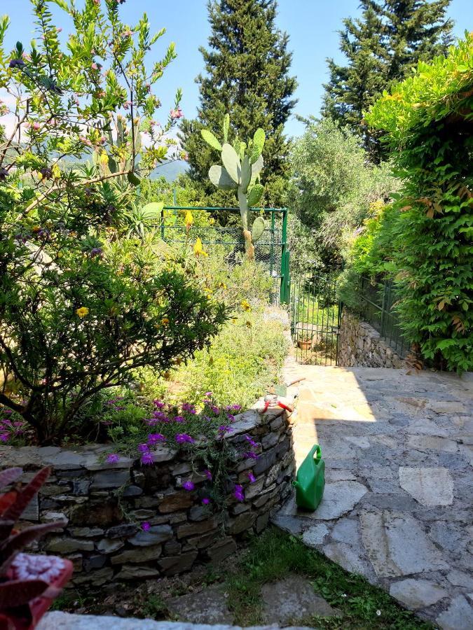 L'Antico Frantoio Villa Rapallo Exteriör bild
