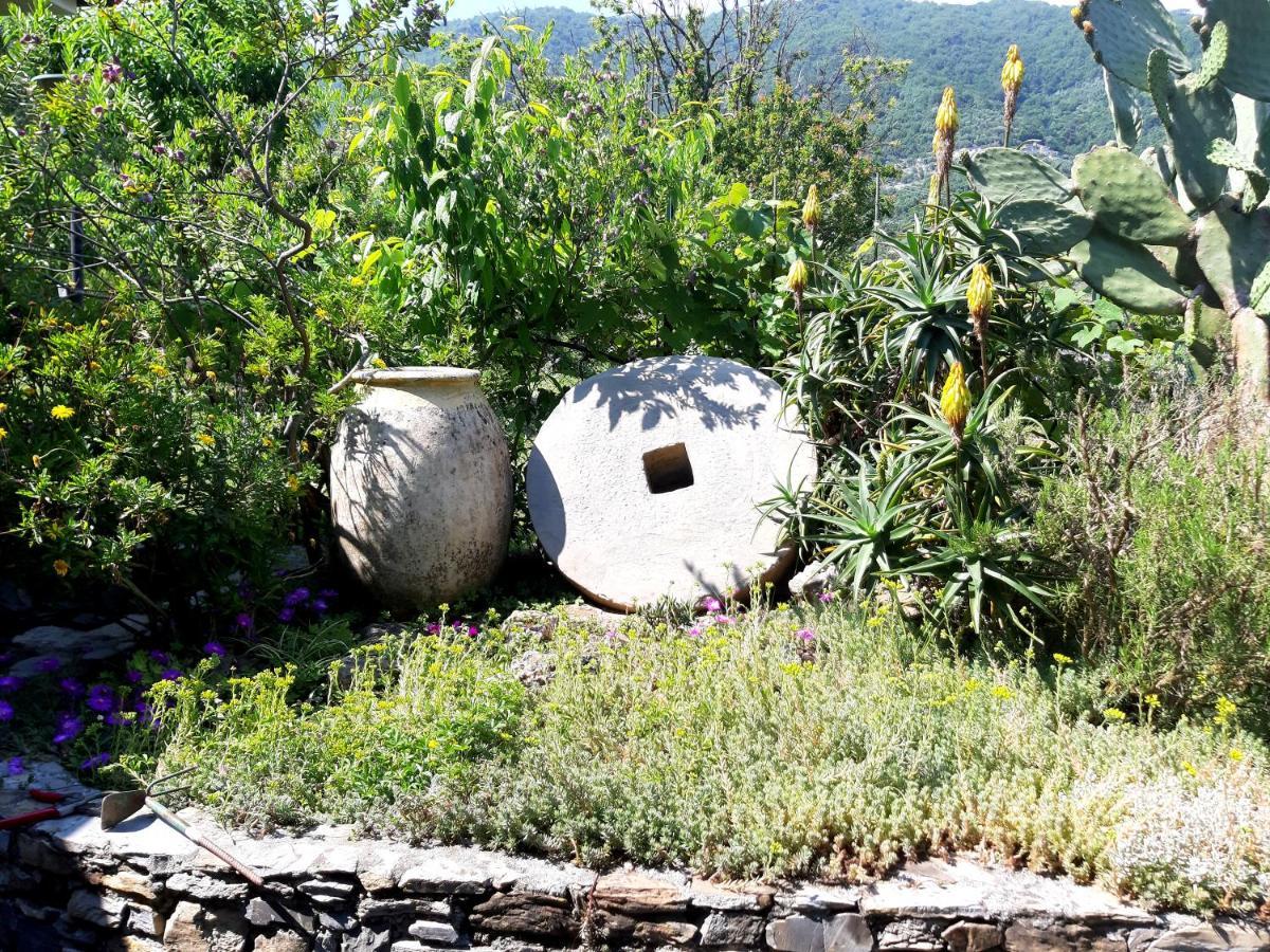 L'Antico Frantoio Villa Rapallo Exteriör bild