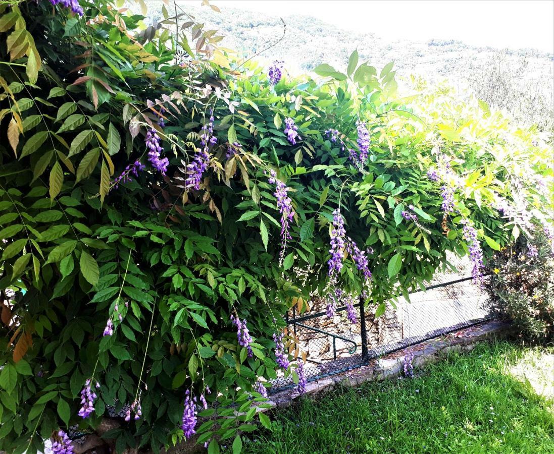 L'Antico Frantoio Villa Rapallo Exteriör bild
