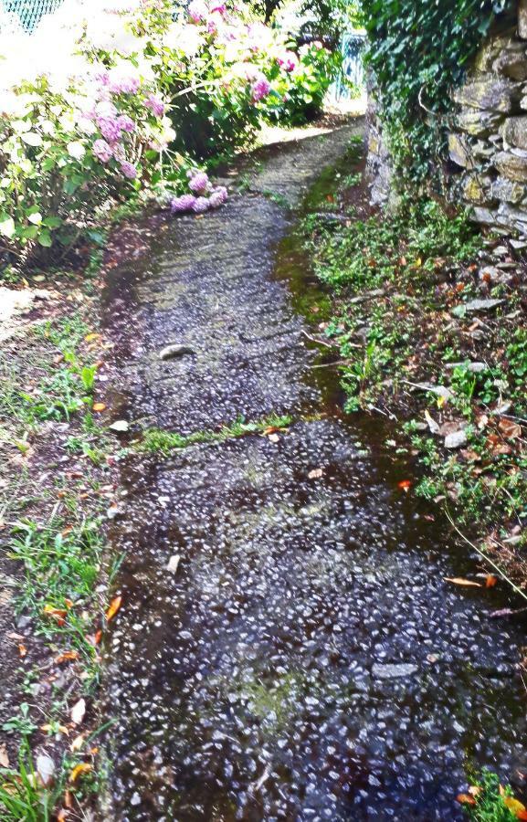 L'Antico Frantoio Villa Rapallo Exteriör bild